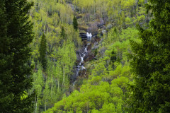 Mountain Waterfall in Spring Cascading Creek